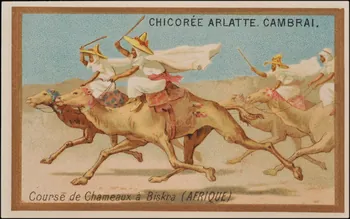 Romanet carte réclame chromo Paris 1877-1913 1995.1.1163.3 Photo