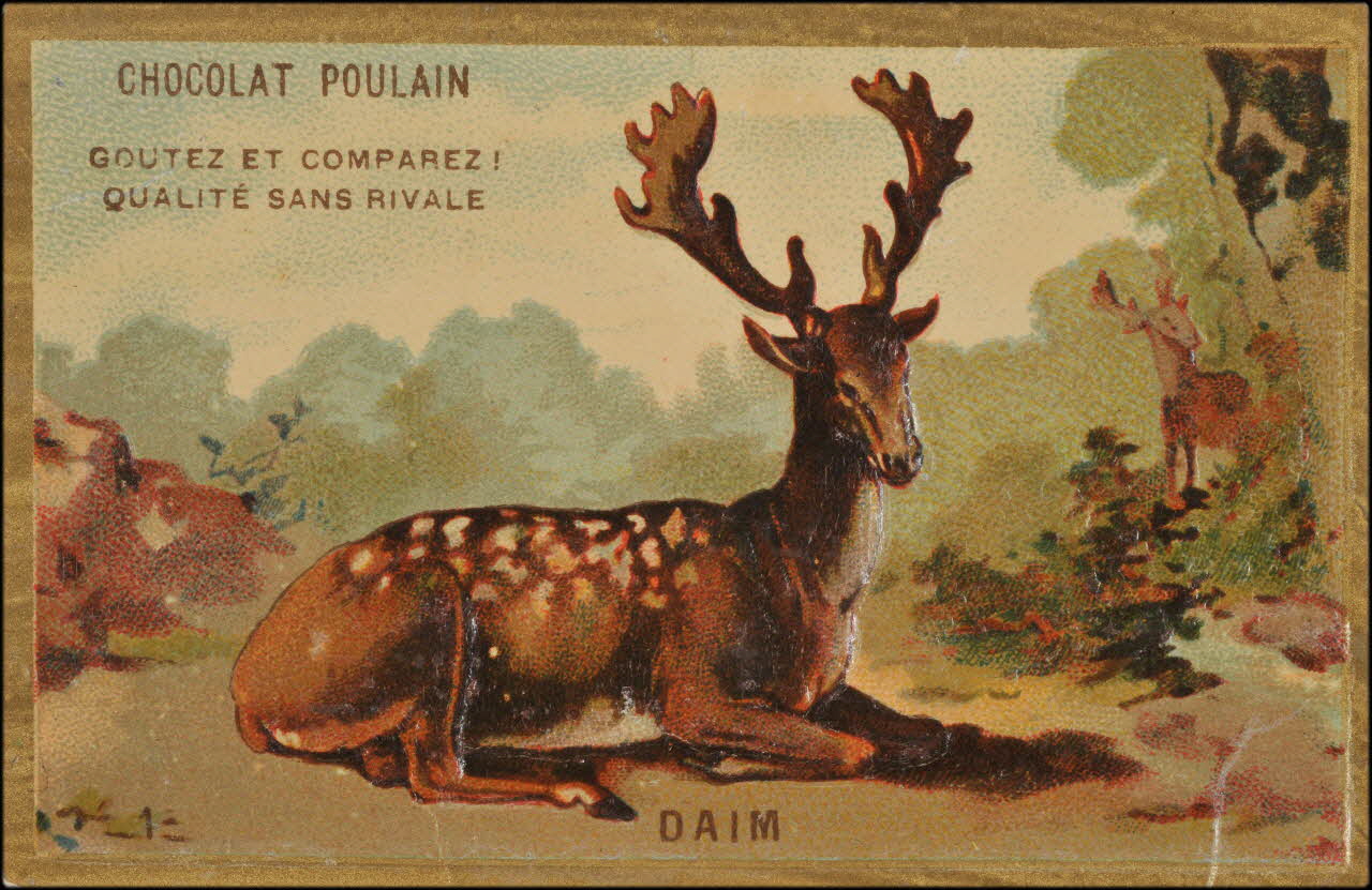 Romanet carte réclame chromo Paris 1877-1913 1995.1.1176.1 Photo