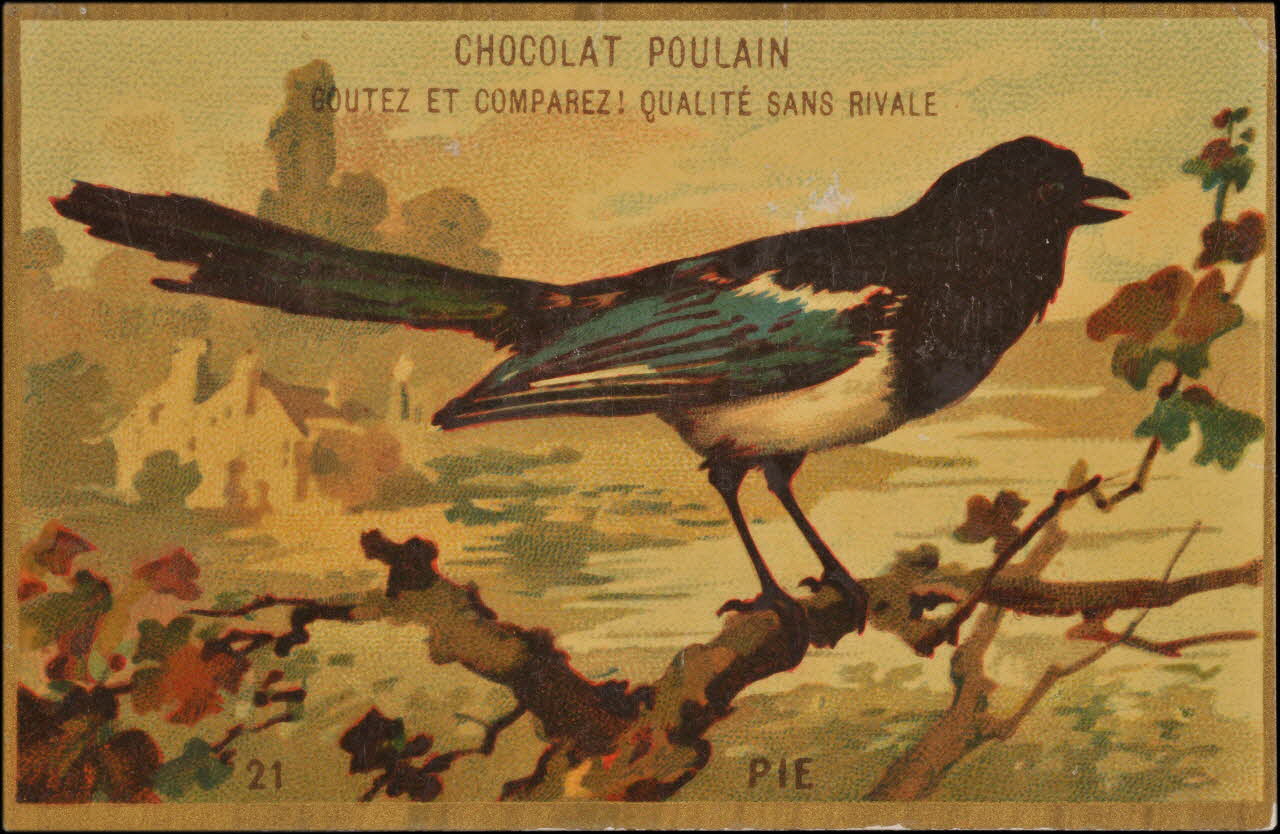 Romanet carte réclame chromo Paris 1877-1913 1995.1.1176.21 Photo