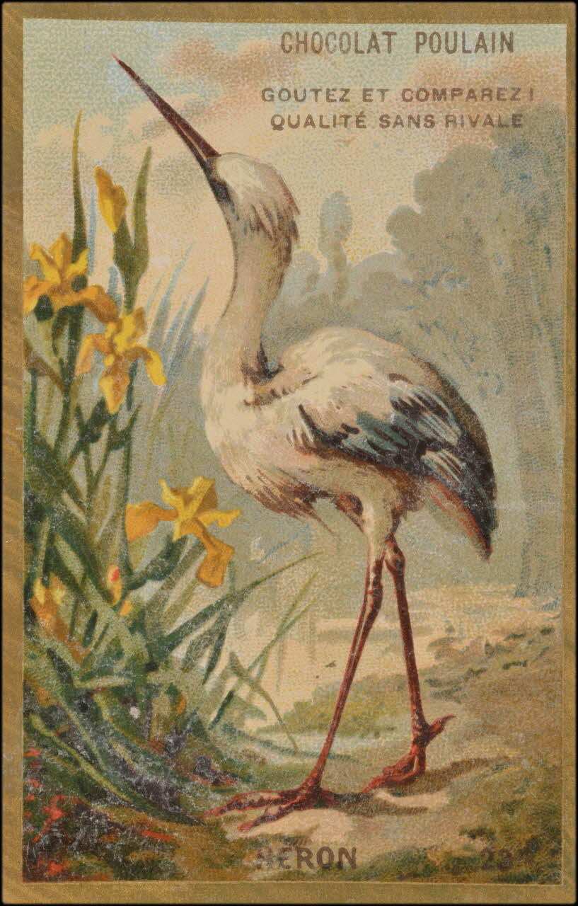 Romanet carte réclame chromo Paris 1877-1913 1995.1.1176.23 Photo