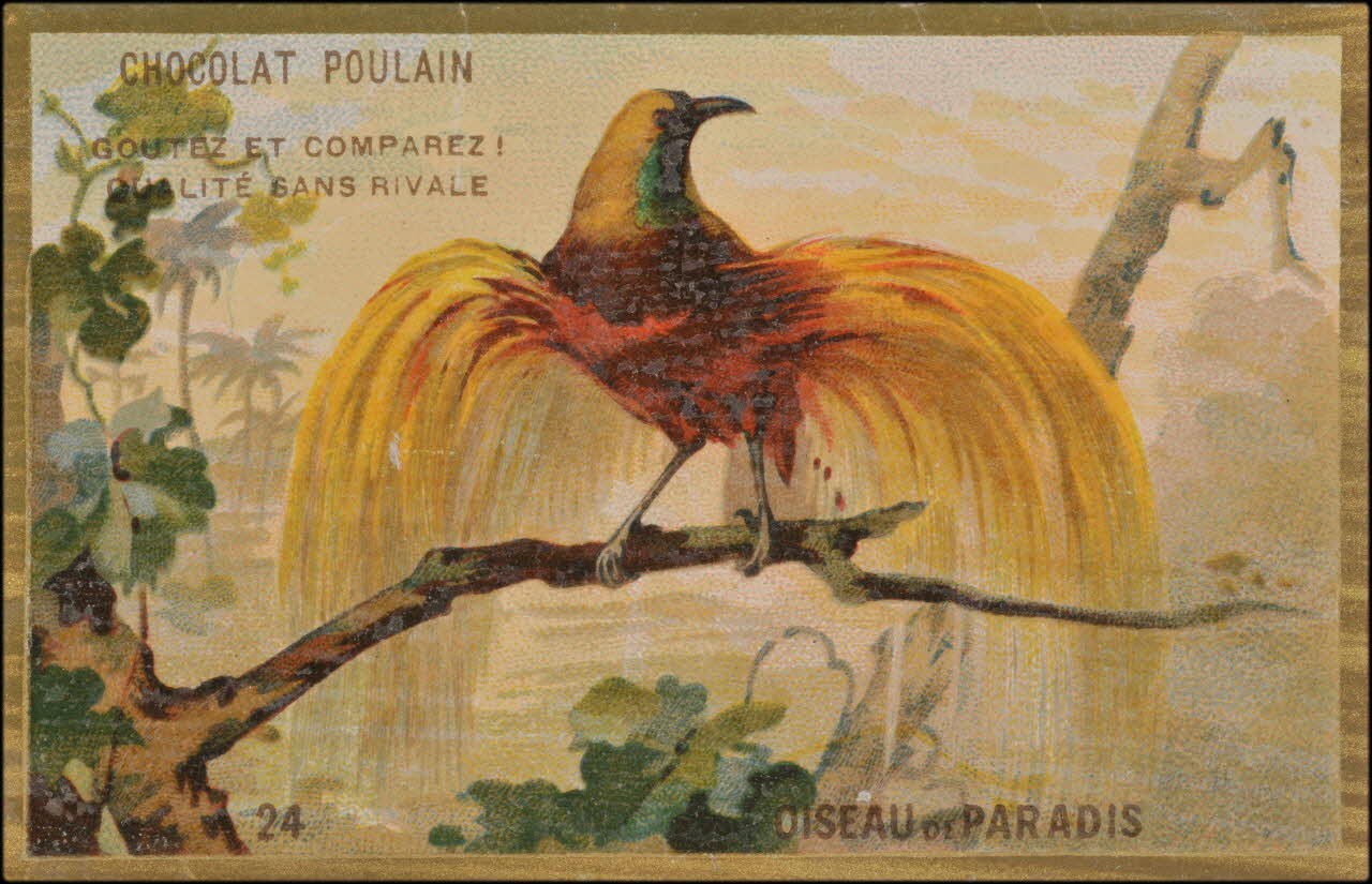 Romanet carte réclame chromo Paris 1877-1913 1995.1.1176.24 Photo