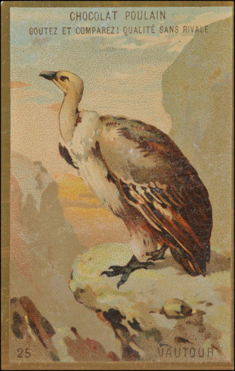 Romanet carte réclame chromo Paris 1877-1913 1995.1.1176.25 Photo