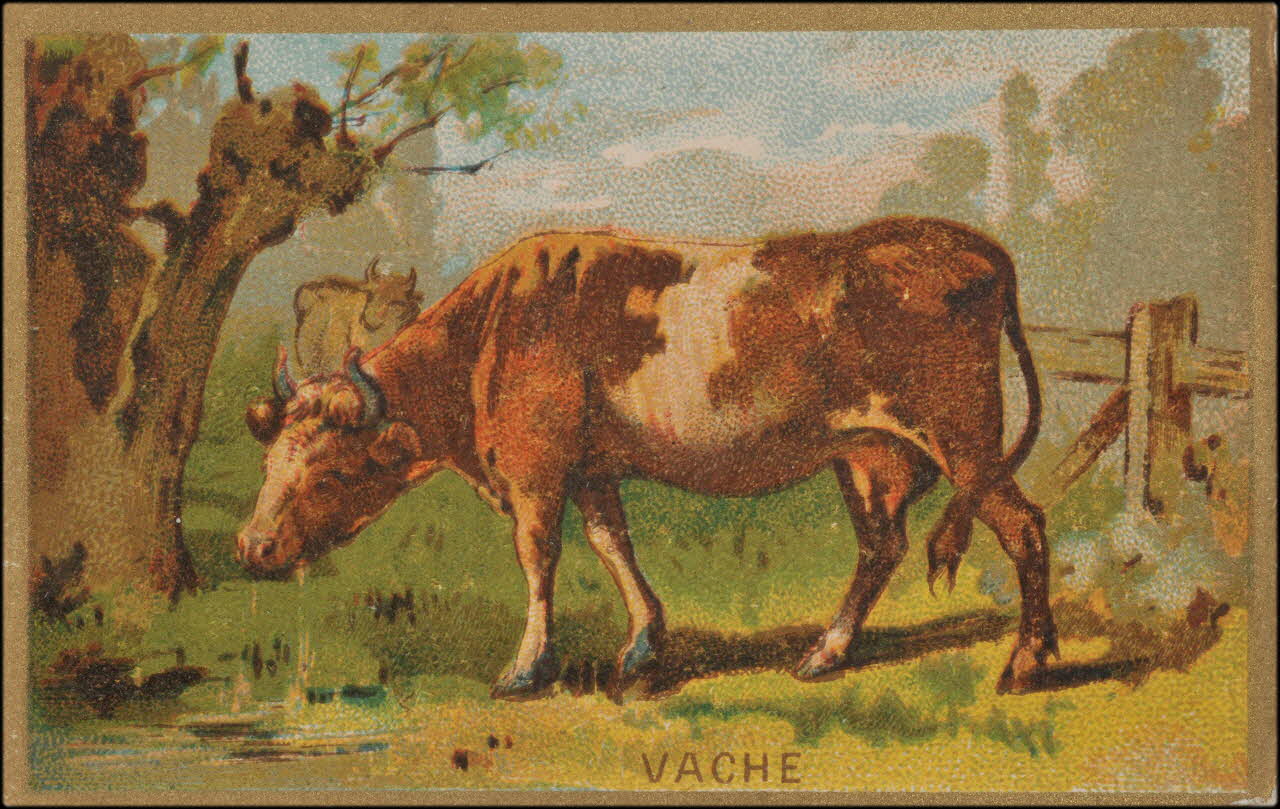 Romanet carte réclame chromo Paris 1877-1913 1995.1.1176.28 Photo