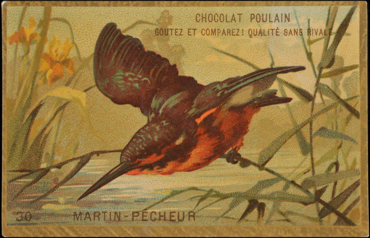 Romanet carte réclame chromo Paris 1877-1913 1995.1.1176.30 Photo