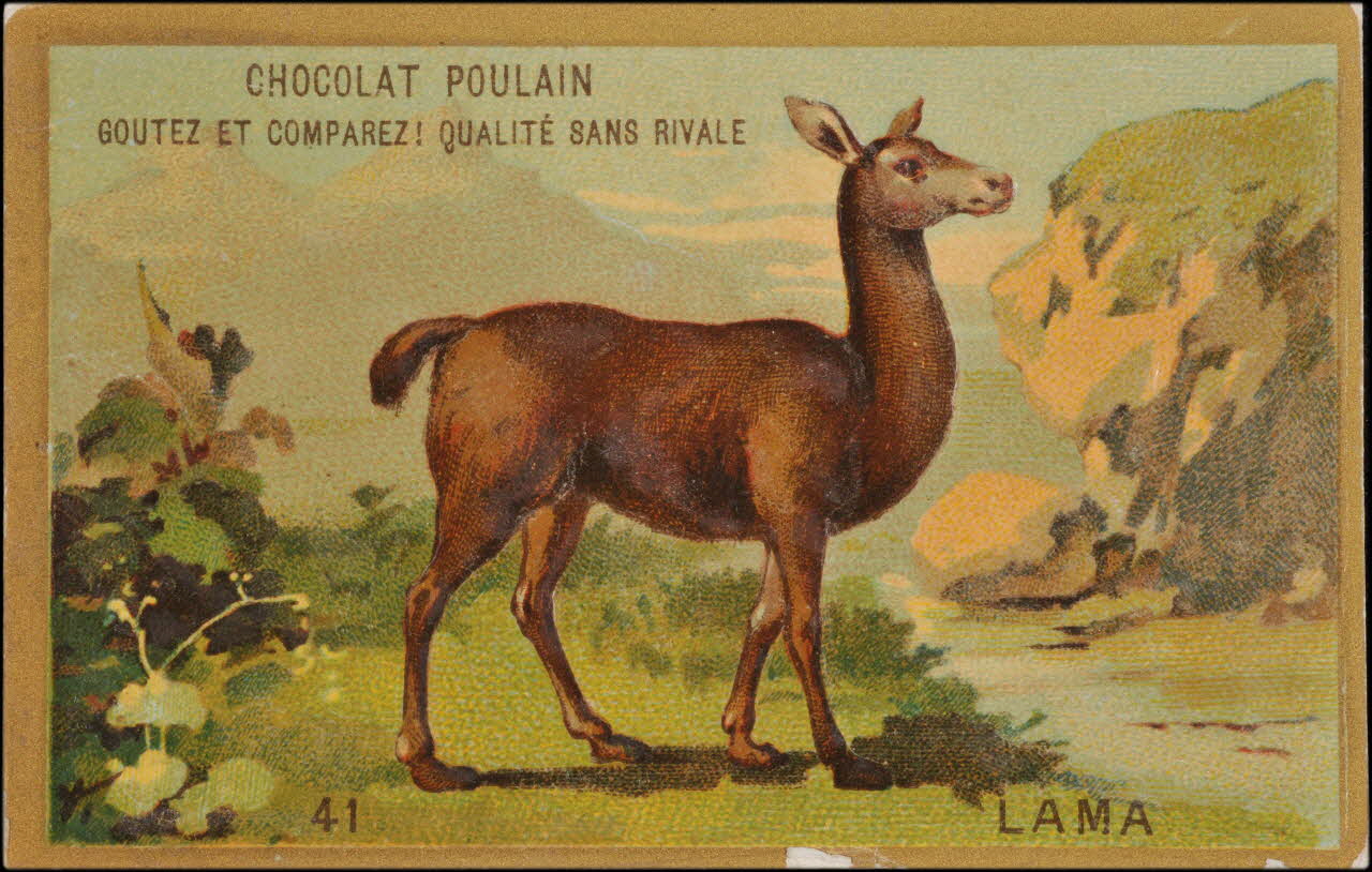 Romanet carte réclame chromo Paris 1877-1913 1995.1.1176.40 Photo