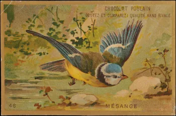 Romanet carte réclame chromo Paris 1877-1913 1995.1.1176.45 Photo