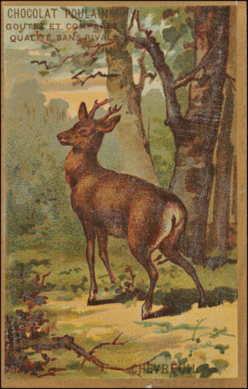 Romanet carte réclame chromo Paris 1877-1913 1995.1.1176.5 Photo