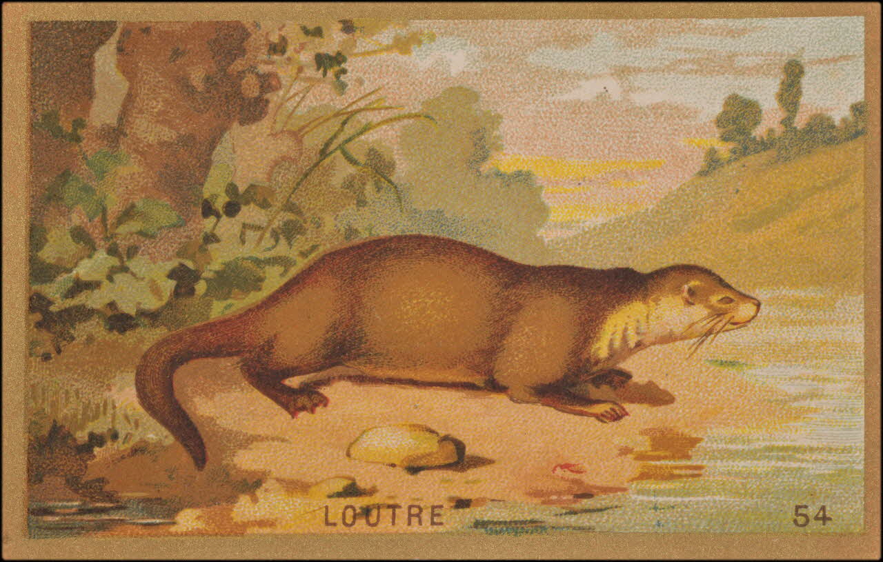 Romanet carte réclame chromo Paris 1877-1913 1995.1.1176.53 Photo