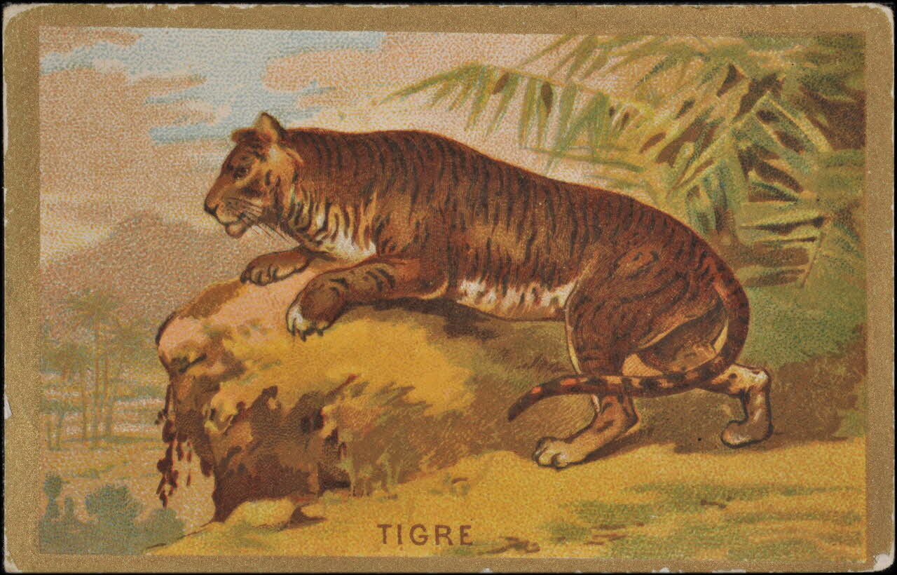 Romanet carte réclame chromo Paris 1877-1913 1995.1.1176.54 Photo