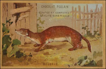 Romanet carte réclame chromo Paris 1877-1913 1995.1.1176.67  Photo