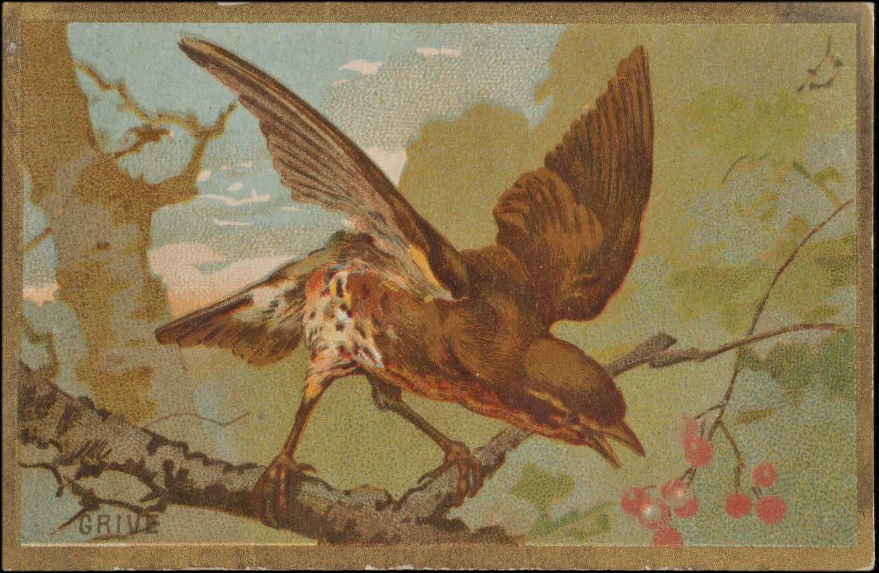 Romanet carte réclame chromo Paris 1877-1913 1995.1.1176.69 Photo