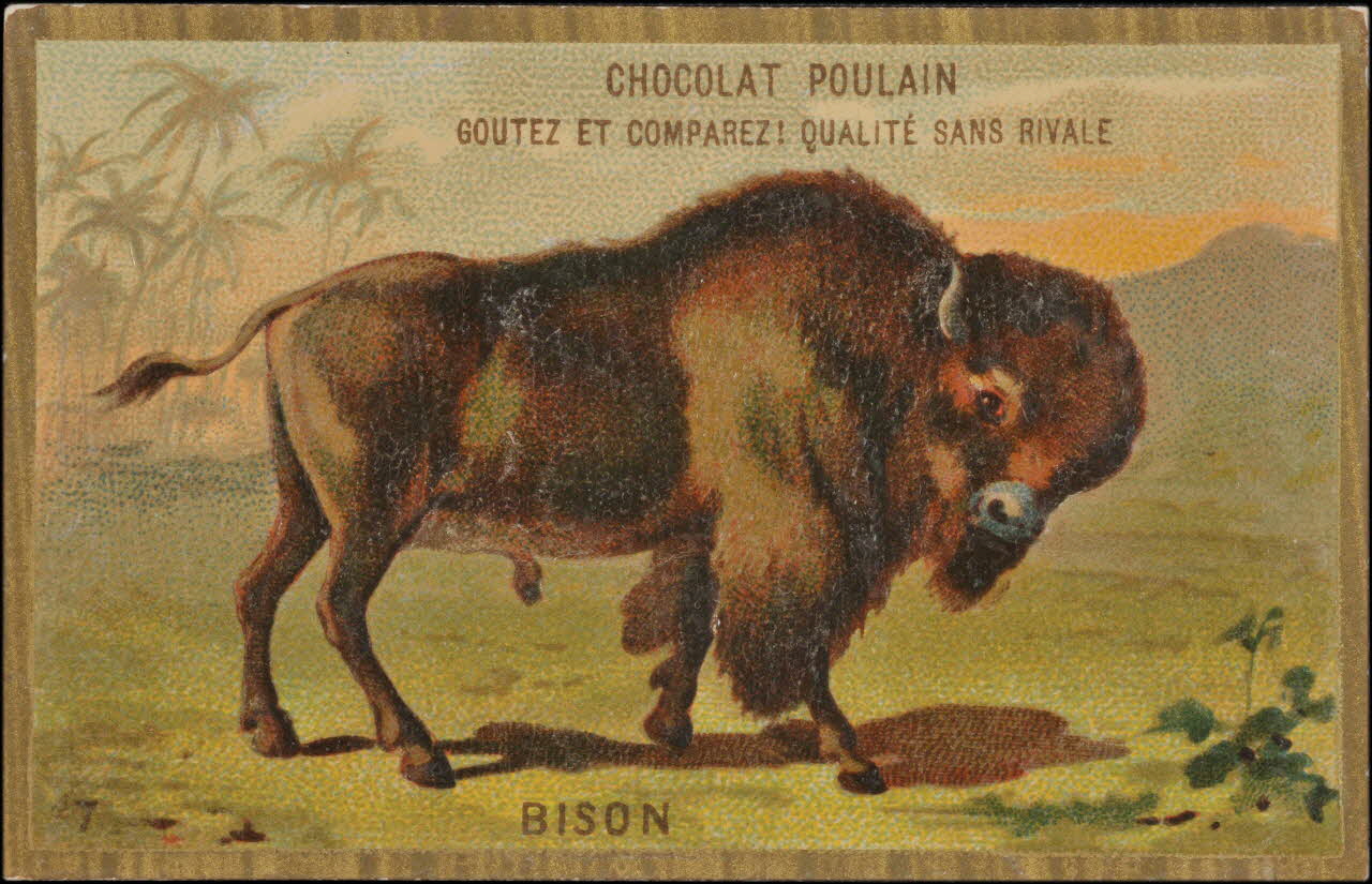 Romanet carte réclame chromo Paris 1877-1913 1995.1.1176.7 Photo