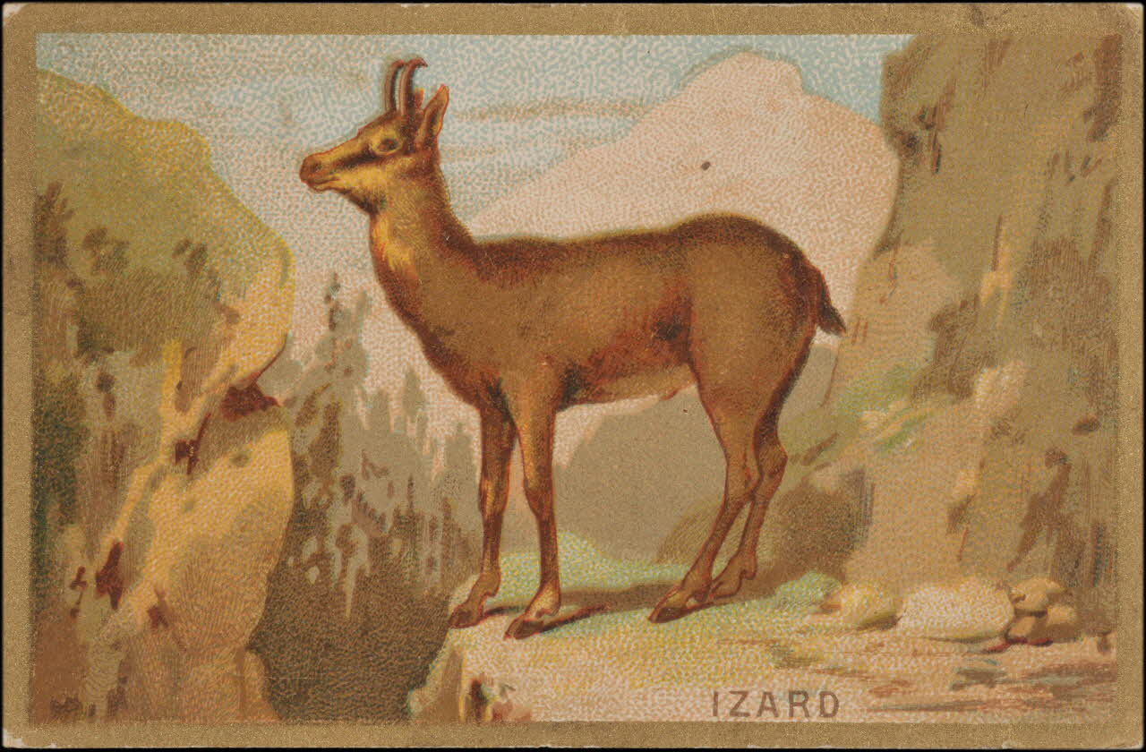 Romanet carte réclame chromo Paris 1877-1913 1995.1.1176.72 Photo