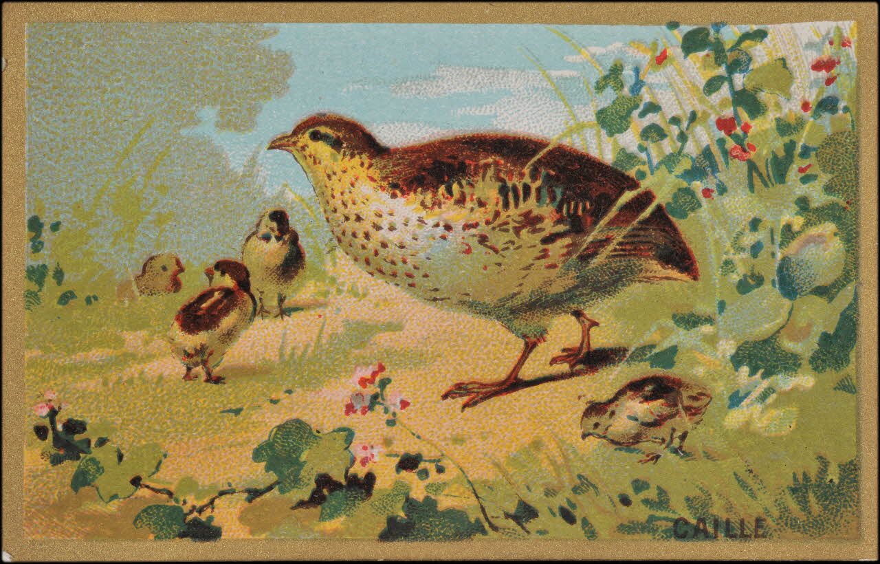 Romanet carte réclame chromo Paris 1877-1913 1995.1.1176.75 Photo