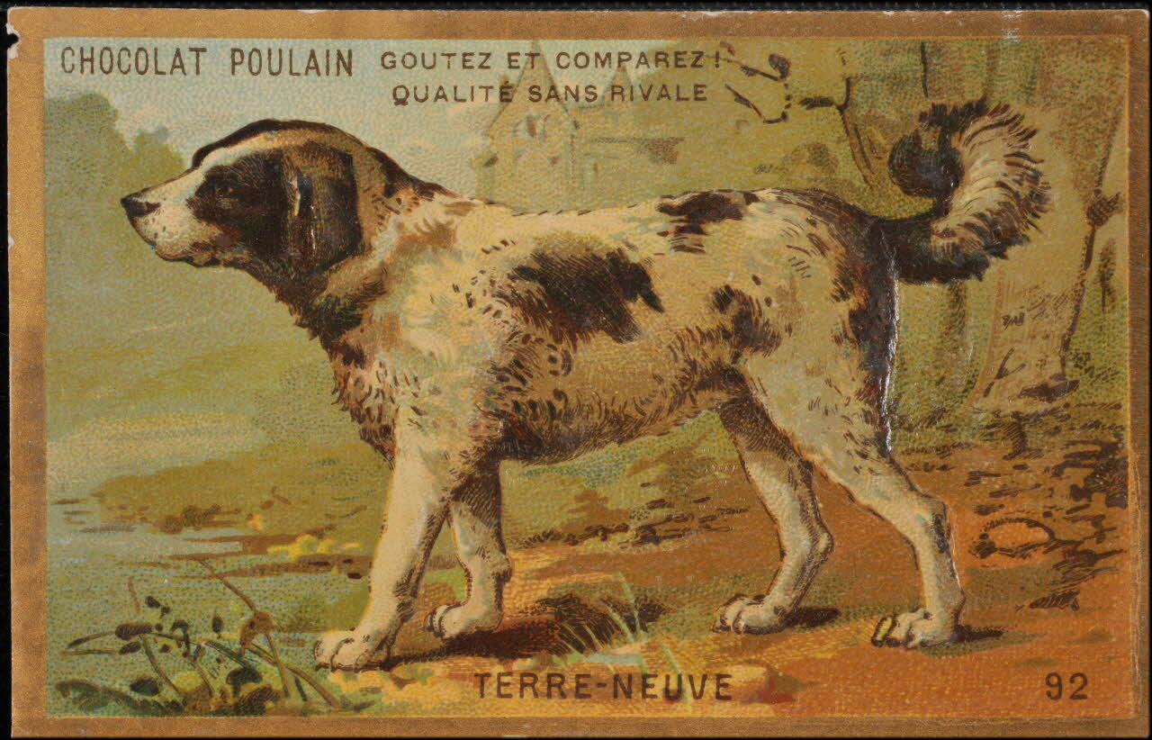 Romanet carte réclame chromo Paris 1877-1913 1995.1.1176.79 Photo