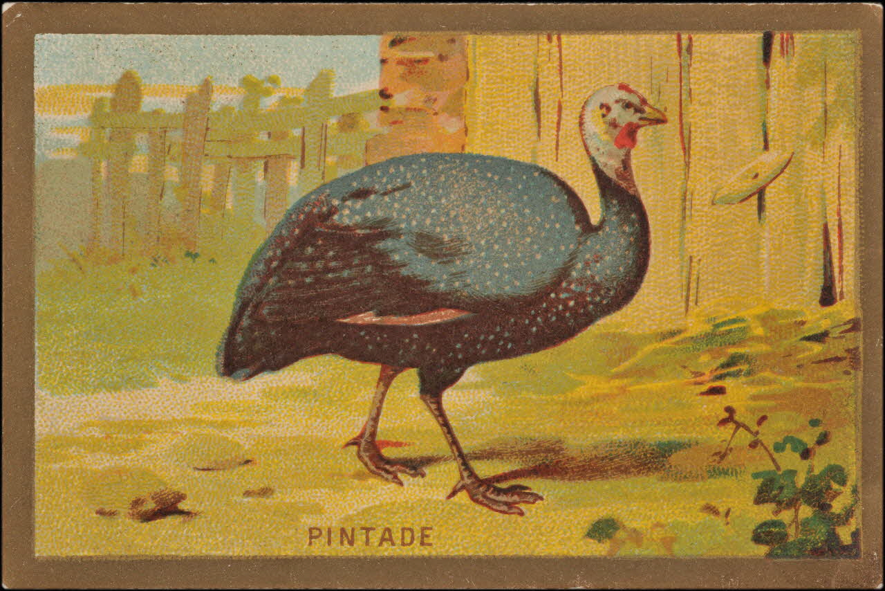 Romanet carte réclame chromo Paris 1877-1913 1995.1.1176.80 Photo