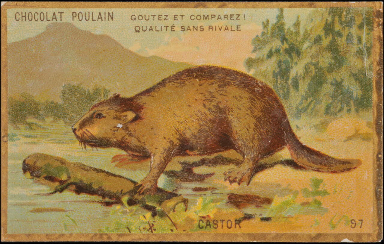 Romanet carte réclame chromo Paris 1877-1913 1995.1.1176.82 Photo