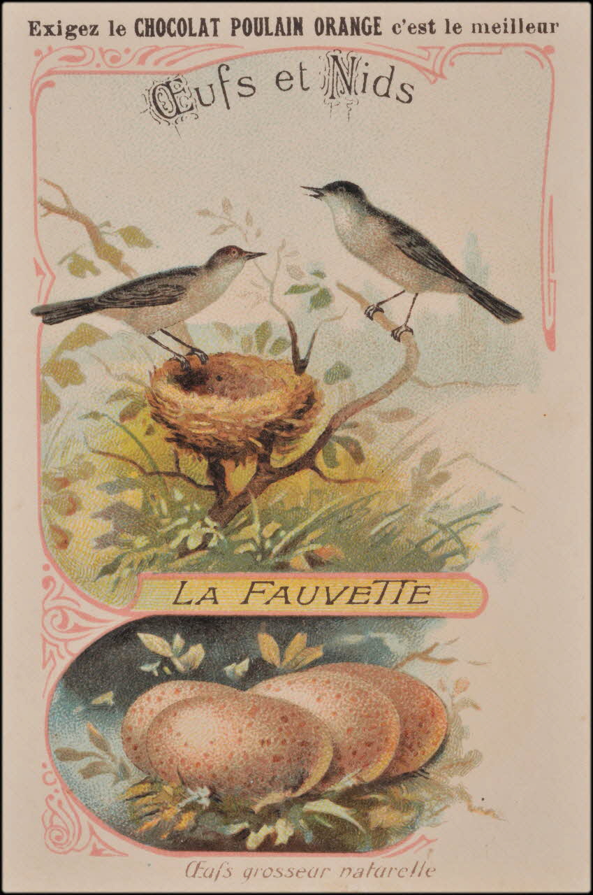 Romanet carte réclame chromo Paris 1877-1913 1995.1.1178.14 Photo