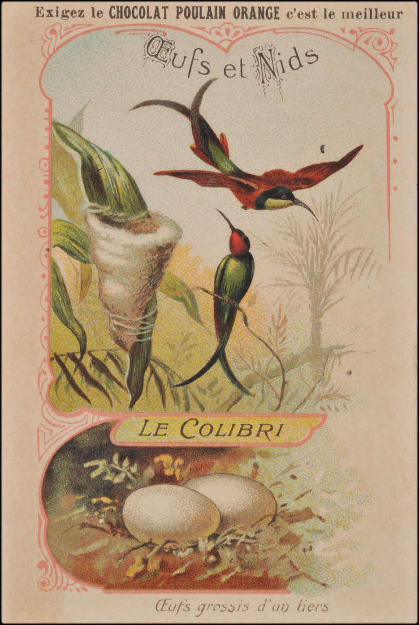 Romanet carte réclame chromo Paris 1877-1913 1995.1.1178.16 Photo