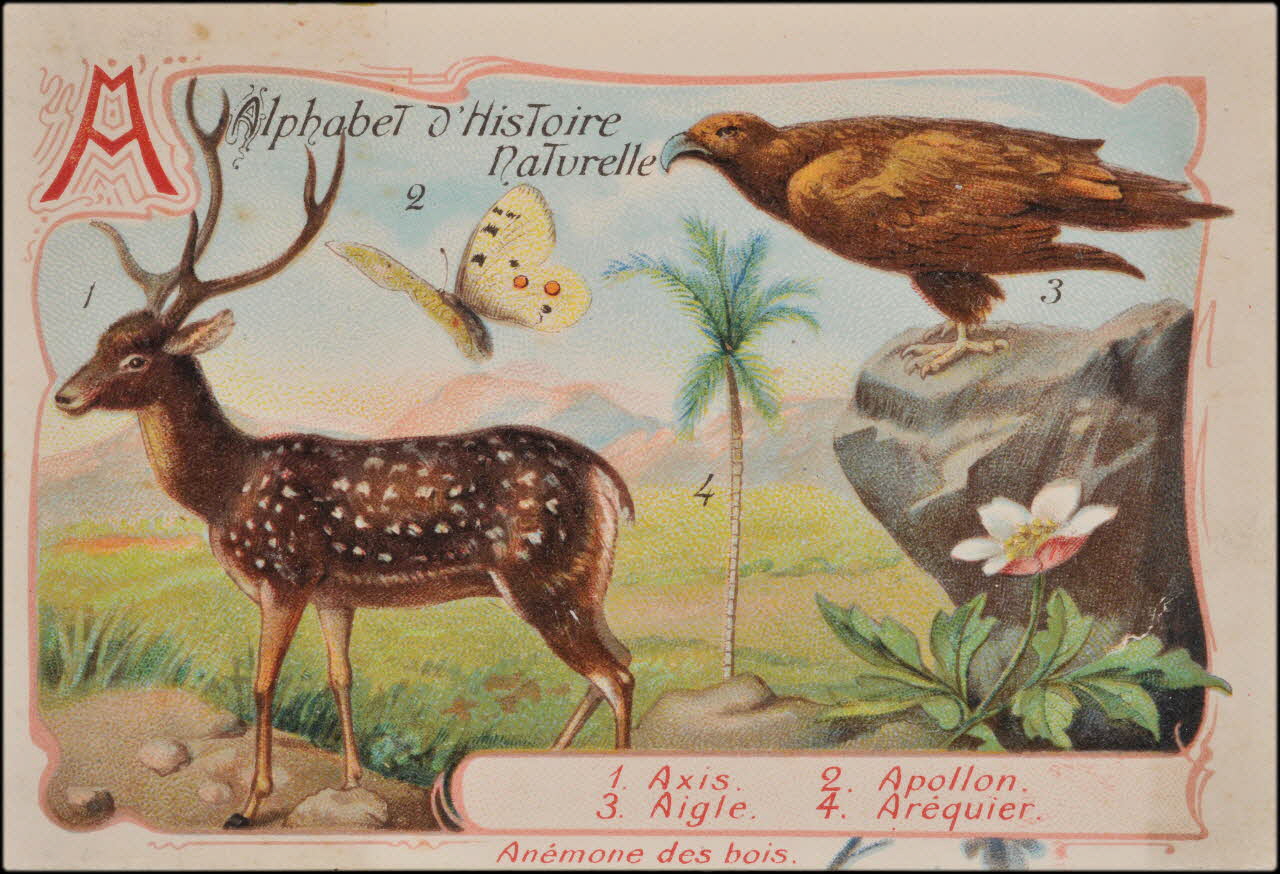 Romanet carte réclame chromo Paris 1877-1913 1995.1.1179.1 Photo