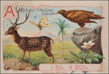 Romanet carte réclame chromo Paris 1877-1913 1995.1.1179.1 Photo