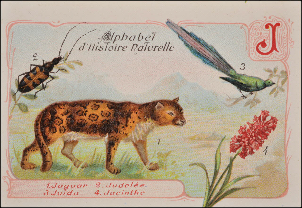 Romanet carte réclame chromo Paris 1877-1913 1995.1.1179.10 Photo