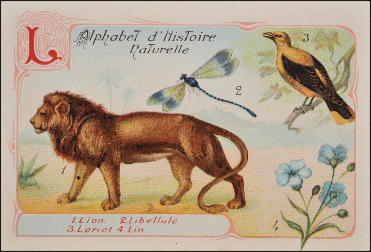 Romanet carte réclame chromo Paris 1877-1913 1995.1.1179.12 Photo