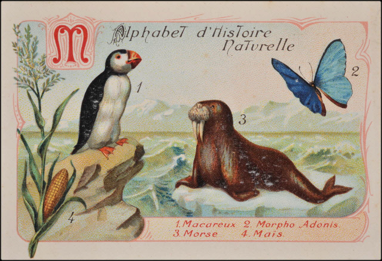 Romanet carte réclame chromo Paris 1877-1913 1995.1.1179.13 Photo