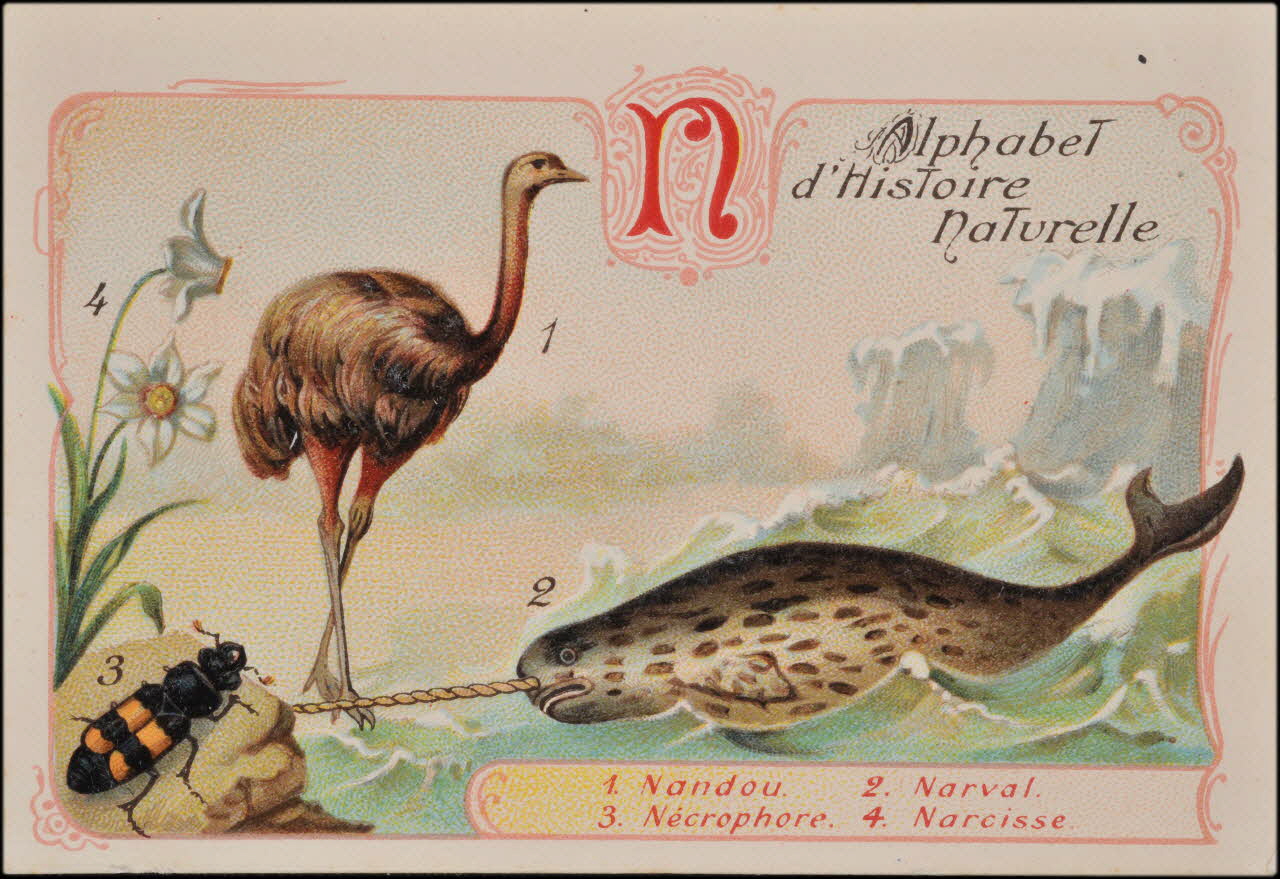 Romanet carte réclame chromo Paris 1877-1913 1995.1.1179.14 Photo