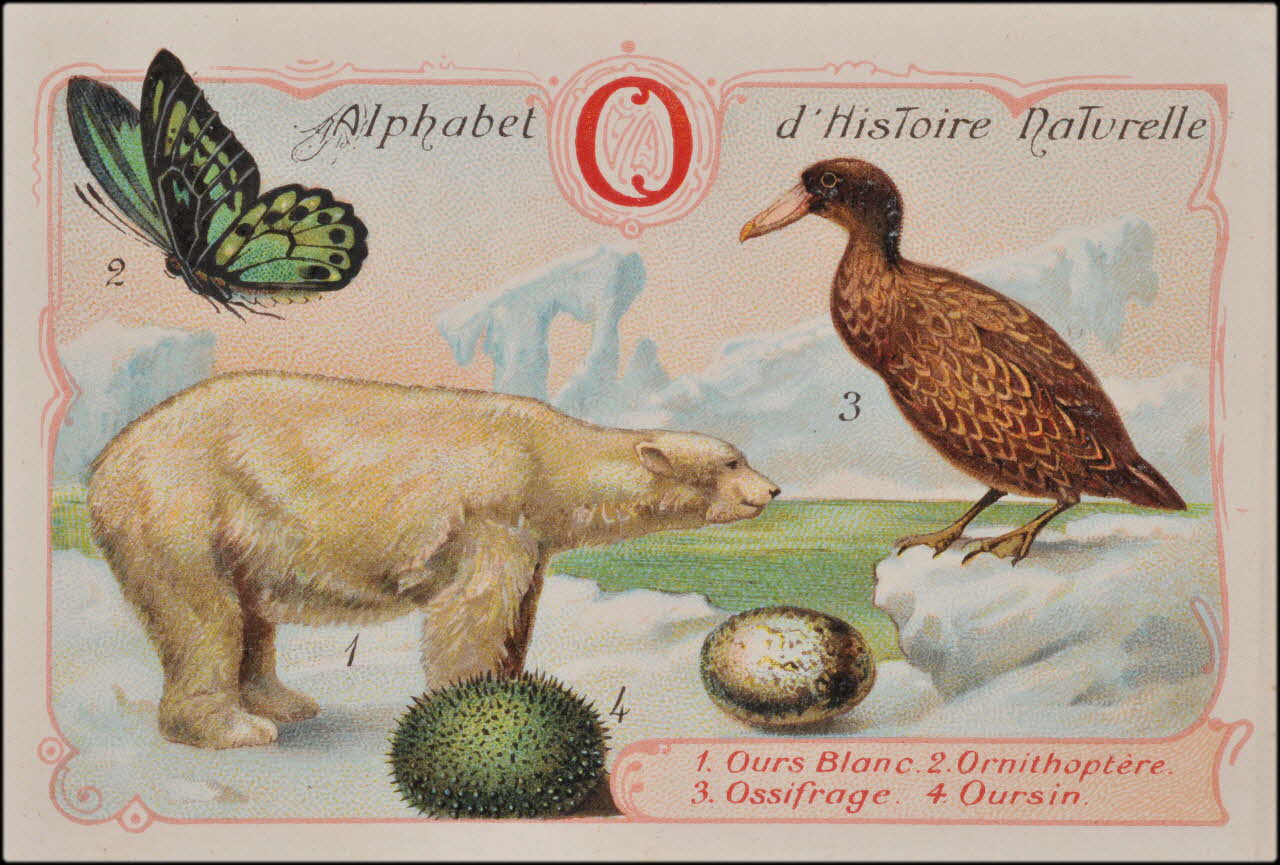 Romanet carte réclame chromo Paris 1877-1913 1995.1.1179.15 Photo