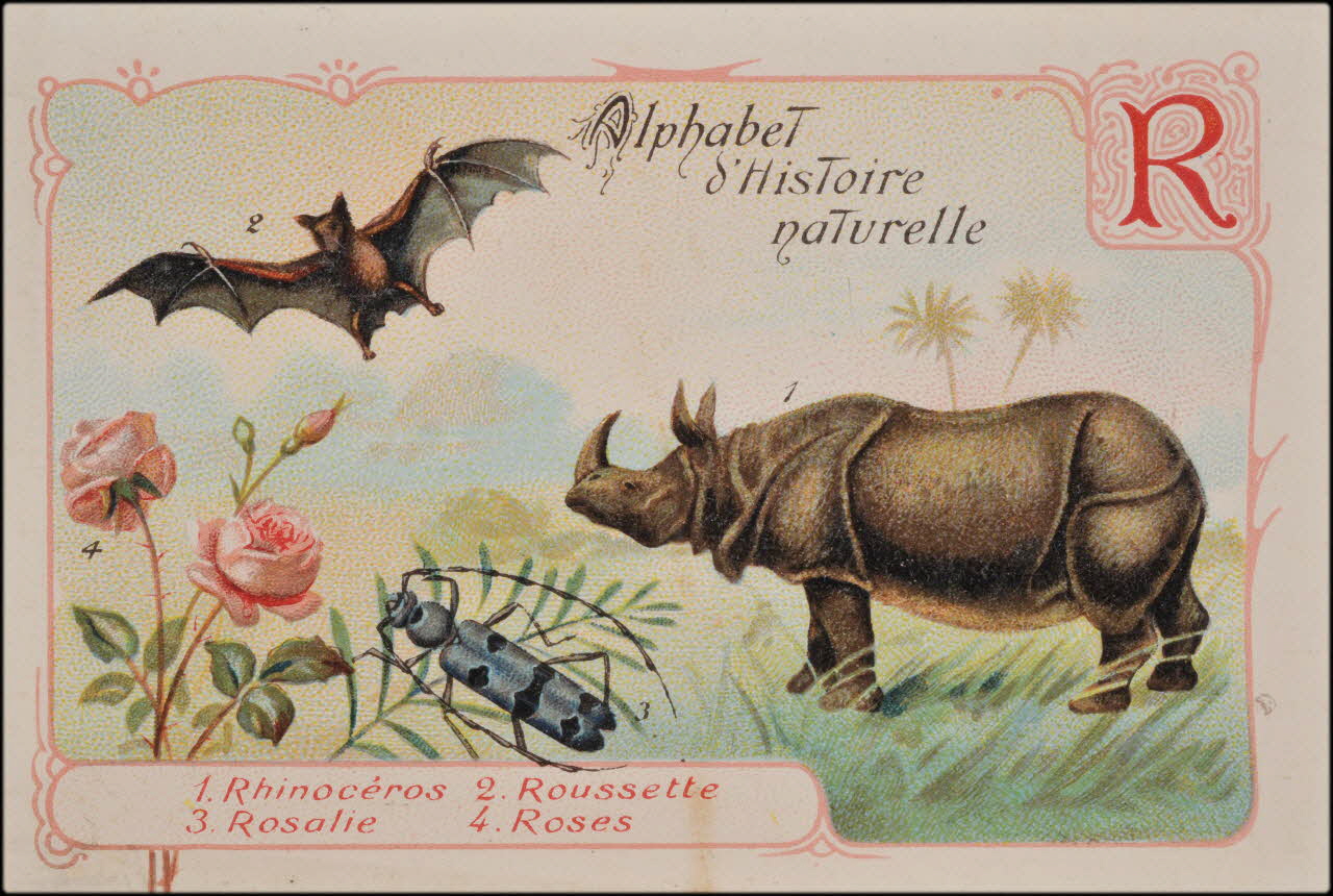 Romanet carte réclame chromo Paris 1877-1913 1995.1.1179.18 Photo