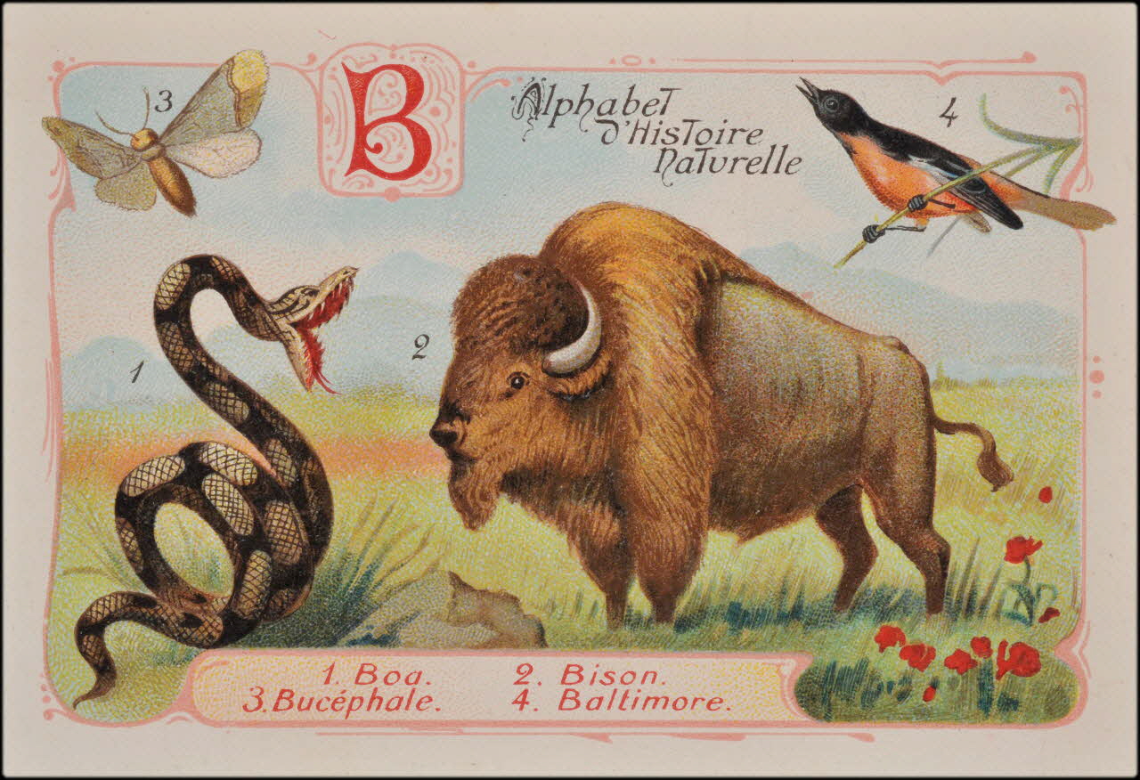 Romanet carte réclame chromo Paris 1877-1913 1995.1.1179.2 Photo