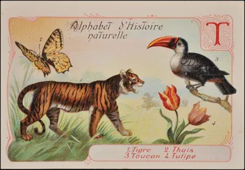 Romanet carte réclame chromo Paris 1877-1913 1995.1.1179.20 Photo