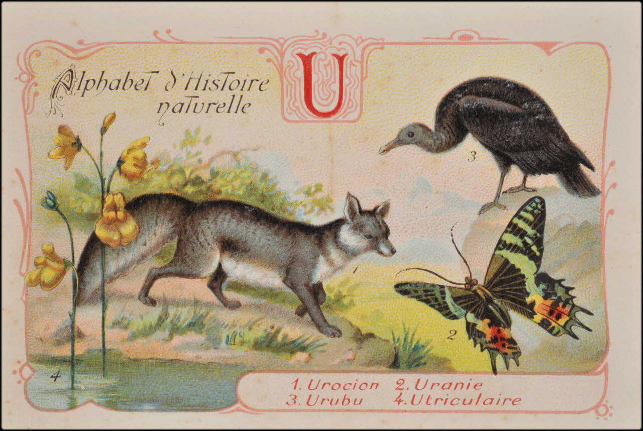 Romanet carte réclame chromo Paris 1877-1913 1995.1.1179.21 Photo