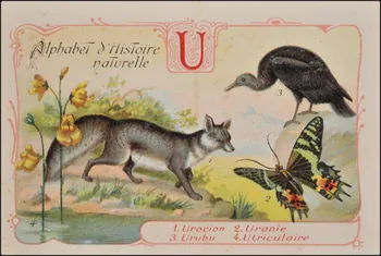 Romanet carte réclame chromo Paris 1877-1913 1995.1.1179.21  Photo