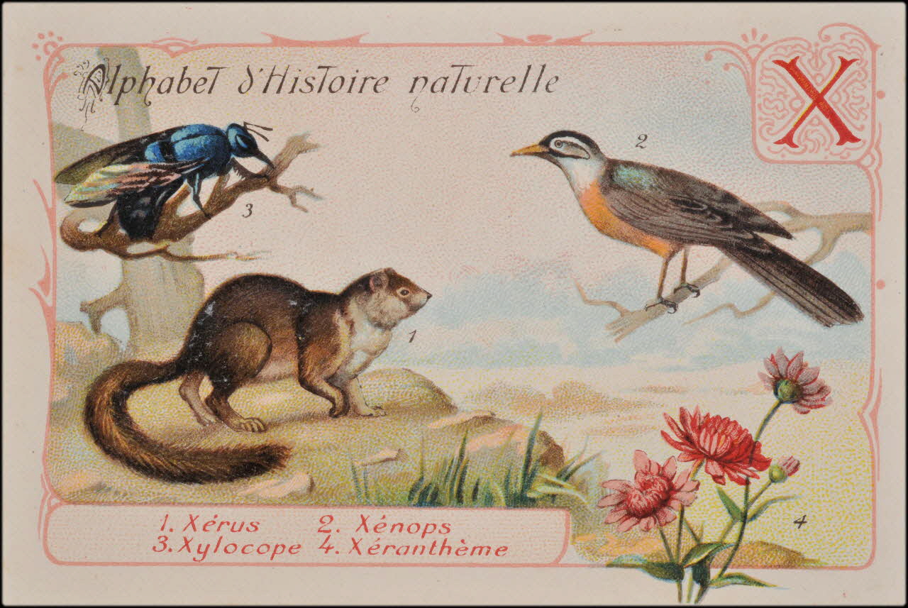 Romanet carte réclame chromo Paris 1877-1913 1995.1.1179.23 Photo