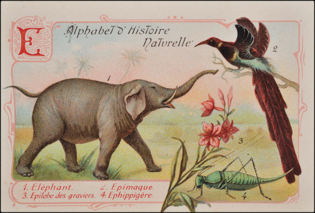 Romanet carte réclame chromo Paris 1877-1913 1995.1.1179.5 Photo