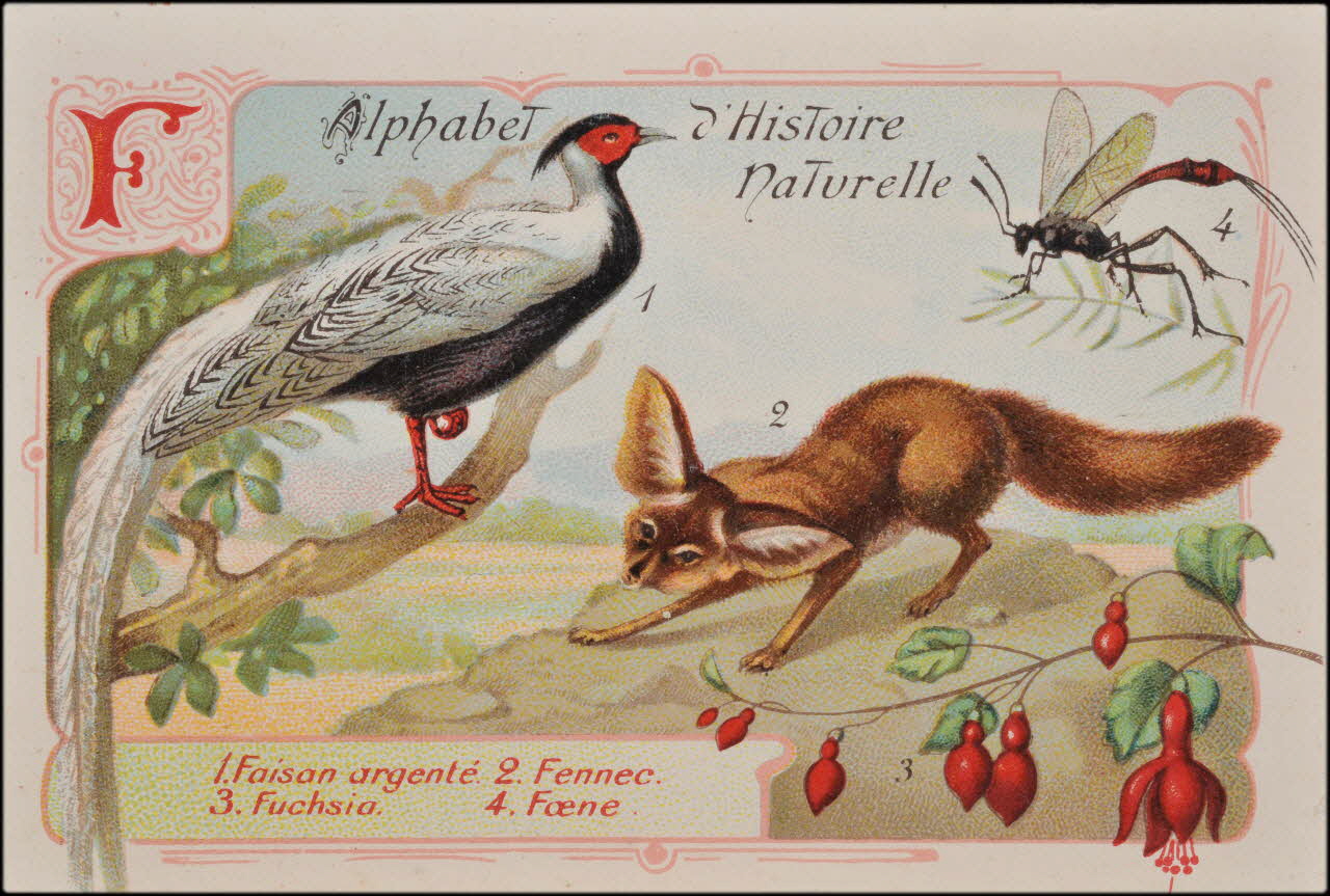 Romanet carte réclame chromo Paris 1877-1913 1995.1.1179.6 Photo