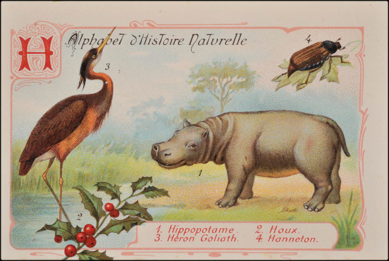 Romanet carte réclame chromo Paris 1877-1913 1995.1.1179.8 Photo