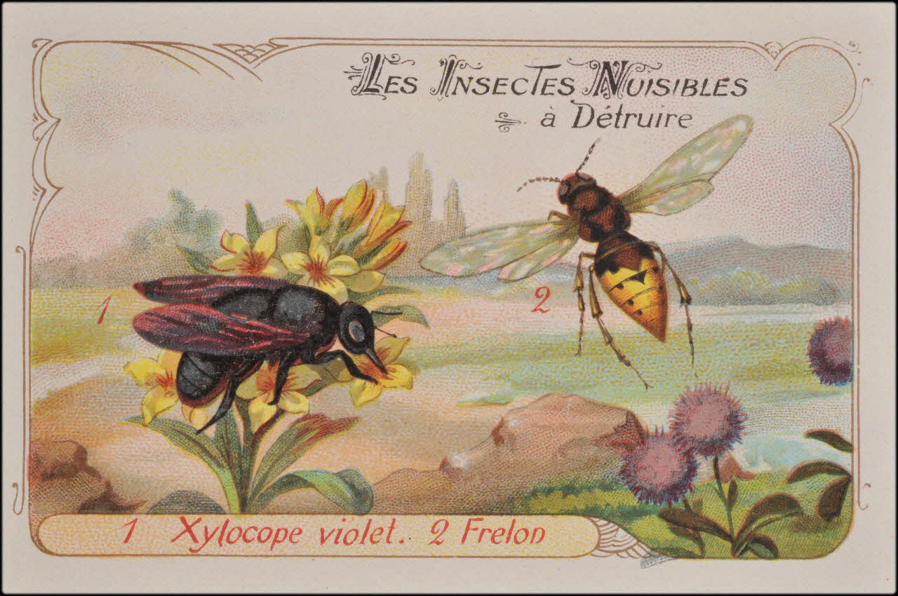 Romanet carte réclame chromo Paris 1877-1913 1995.1.1180.13 Photo