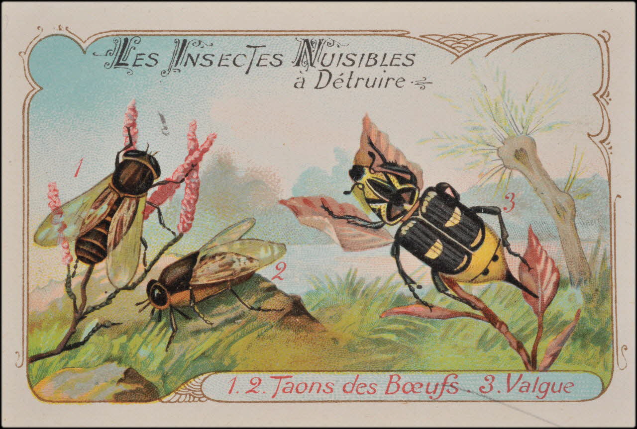 Romanet carte réclame chromo Paris 1877-1913 1995.1.1180.9 Photo
