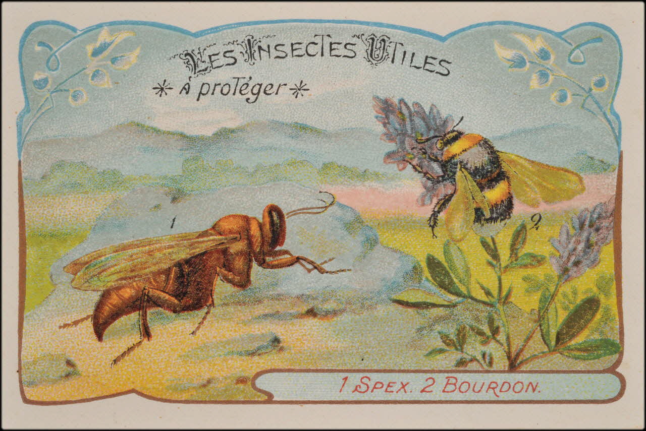 Romanet carte réclame chromo Paris 1877-1913 1995.1.1181.15 Photo