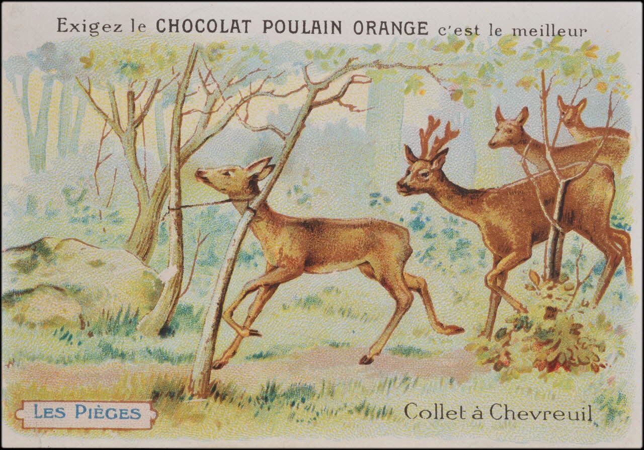 Romanet carte réclame chromo Paris 1877-1913 1995.1.1182.1 Photo