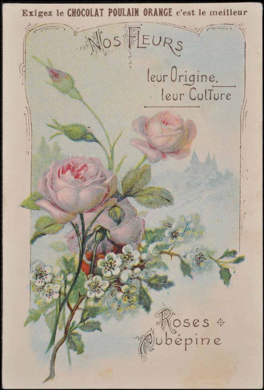 Romanet carte réclame chromo Paris 1877-1913 1995.1.1183.1 Photo