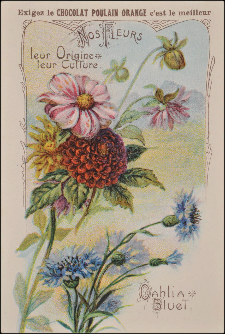 Romanet carte réclame chromo Paris 1877-1913 1995.1.1183.10 Photo