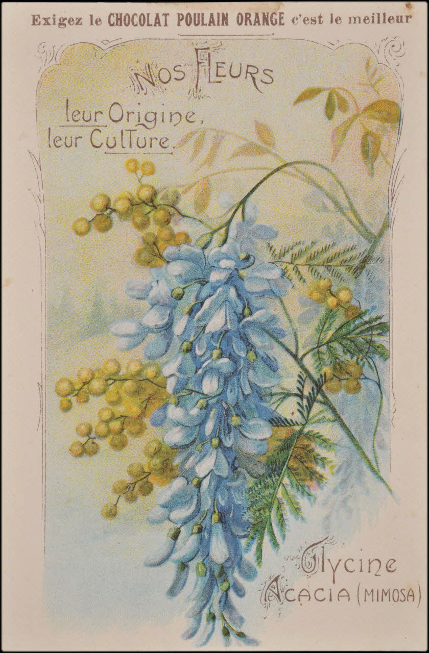 Romanet carte réclame chromo Paris 1877-1913 1995.1.1183.11 Photo