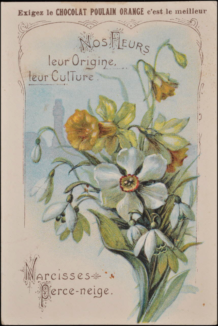 Romanet carte réclame chromo Paris 1877-1913 1995.1.1183.3 Photo