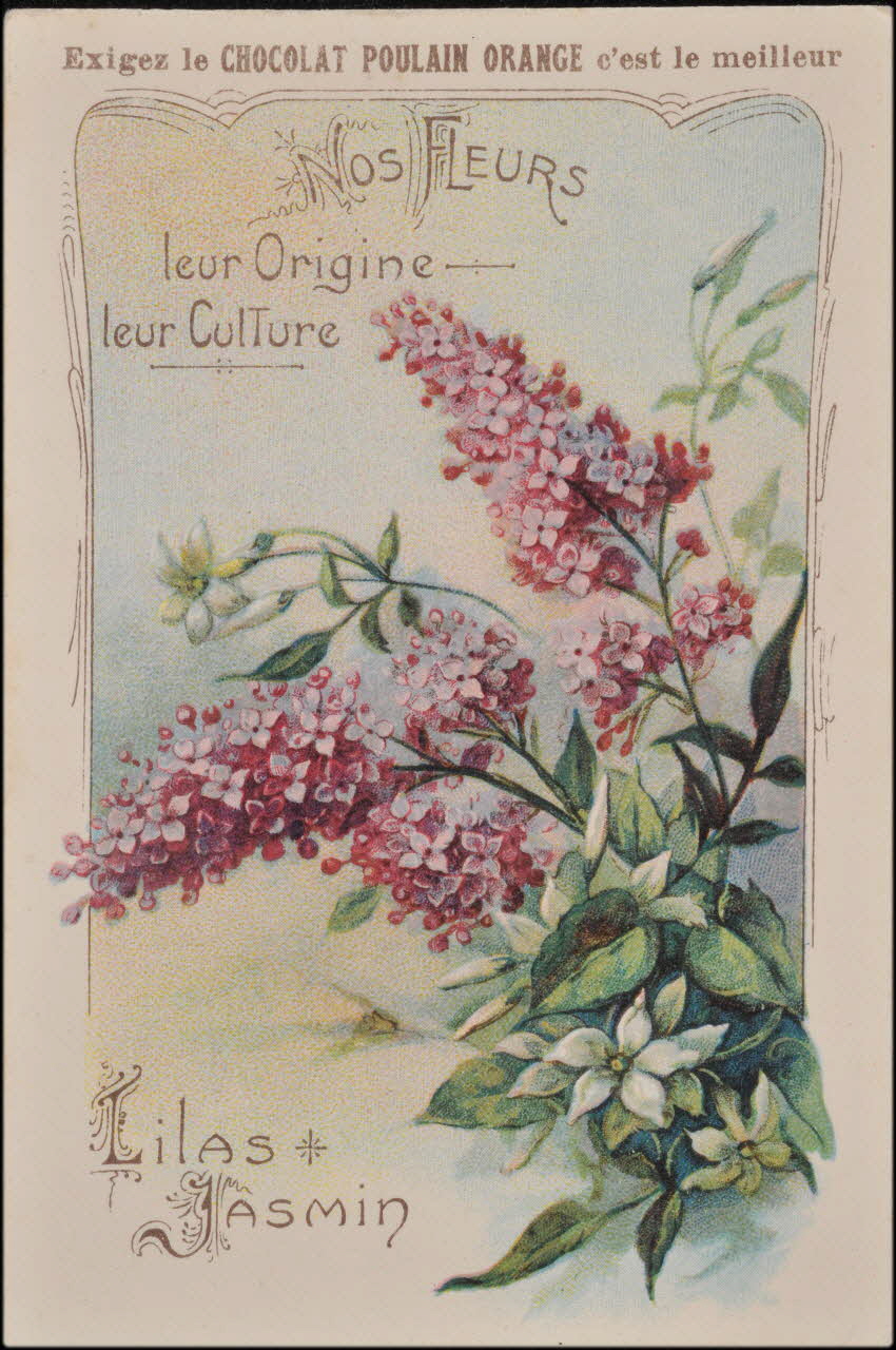 Romanet carte réclame chromo Paris 1877-1913 1995.1.1183.4 Photo