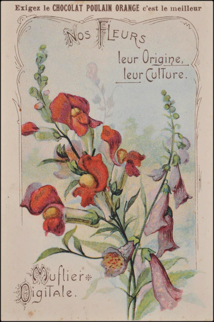 Romanet carte réclame chromo Paris 1877-1913 1995.1.1183.5 Photo