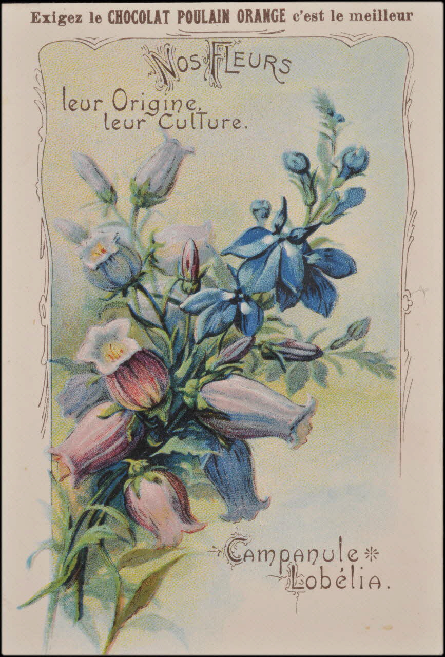 Romanet carte réclame chromo Paris 1877-1913 1995.1.1183.6 Photo